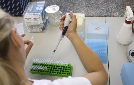 Testy zeleniny v eských laboratoích pro výskyt bakterie E.coli 