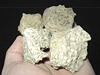 Lávové kameny ze sopky Puyehue.