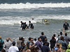 Na surfové závody pro psy se pily podívat tisíce lidí.