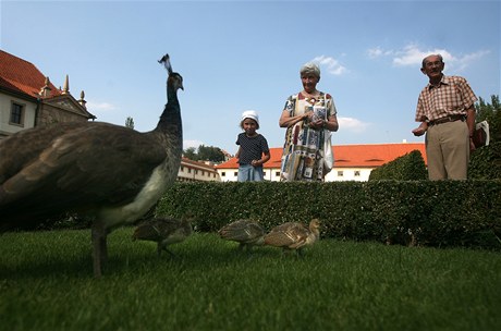 Valdtejnská zahrada (ilustraní foto)