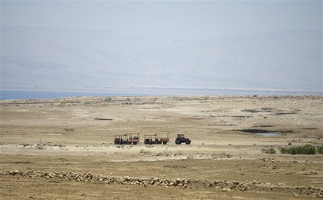 Ein Gedi v Izraeli. Traktor veze nvtvnky k Mrtvmu ??moi pes oblast, kter byla dve zalita vodou