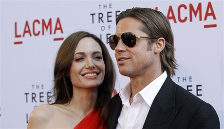 Po esti letech se Angelina Jolieová a Brad Pitt konen vezmou.