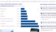 Voln pes internet - grafika