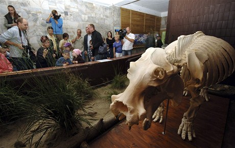Model kostry hroice Rzy vystavuj v ostravsk zoo