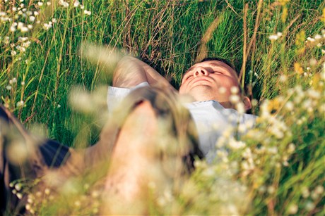 Mu usnul v tráv, kde ho omylem pejelo auto (ilustraní foto). 