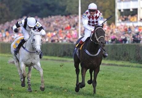 Legendární okej Josef Váa loni vyhrál Velkou pardubickou. Te je slavný dostih v ohroení