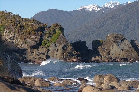 Martins Bay od Long Reef