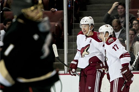 Phoenix Coyotes (zleva Hanzal a Vrbata)