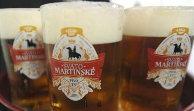 Svatomartinsk nebude letos jen vno. Pivovar ve Velkm Bezn uvail speciln tinctistupov Svatomartinsk pivo.