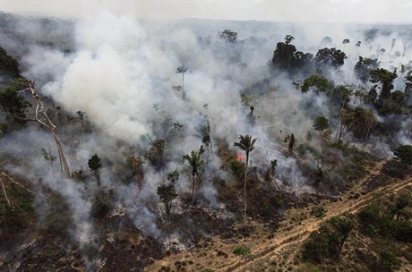 Lidé, kteí baí po pozemcích, nelegáln zapálili ást amazonského pralesa 