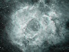 Mlhovina Roseta, vítzný snímek za msíc kvten