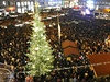 Na estnáctimetrové jedli v centru Brna svítí 30 tisíc LED diod.
