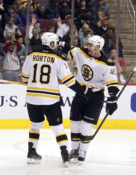 eský hokejista David Krejí z Bostonu Bruins (vpravo) slaví se spoluhráem Nathanem Hortonem gól v zápase NHL