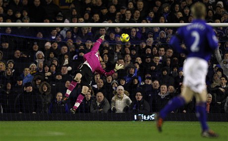 Adam Bogdan z Boltonu práv inkasuje gól v anglické lize od svého brankáského protjku ve slubách Evertonu.