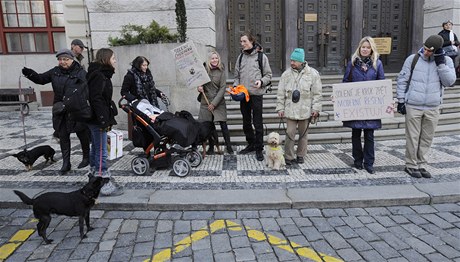 Pejskai protestovali proti solení chodník