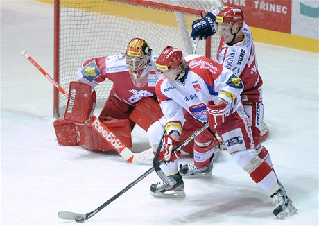 Ocelái Tinec - eské Budjovice. Zleva: Peter Hamerlík (T), Jakub Langhammer (CB), Andrej Novotný (T).