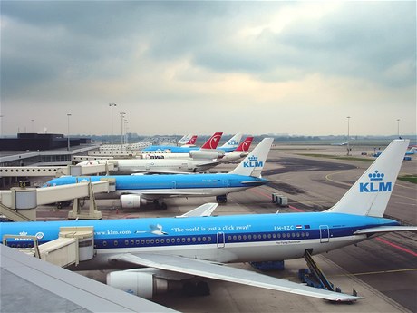 Amsterodamské letit Schiphol bylo kvli ohláené bomb ásten evakuováno.