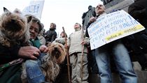Protestující na Václavském náměstí v Praze - Jejich hlavním cílem je "odstranit vládu a zkorumpované politiky napříč celým politickým spektrem" | na serveru Lidovky.cz | aktuální zprávy