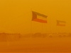 Psen boue v Kuvajtu