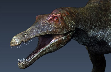 Spinosaurus (ilustraní foto)