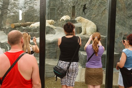 Návtvníci praské zoo - ilustraní foto.