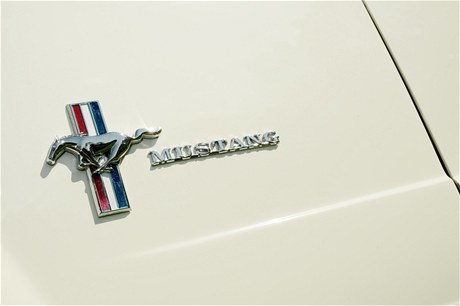 Ford Mustang (ilustraní foto)