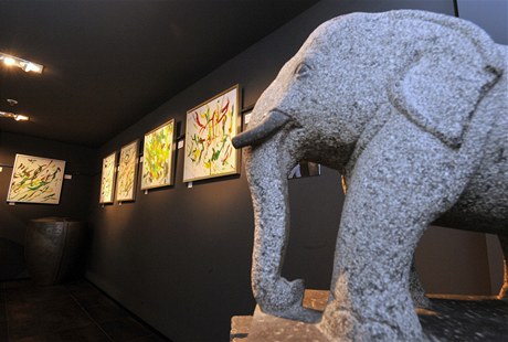 Výstava obraz malovaných slonicí s názvem "Shanti: Tvrí retrospektiva"  je k vidní v praské Marthi Gallery.