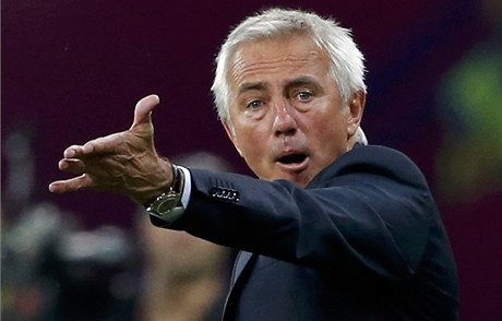 Bert van Marwijk 