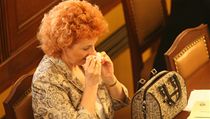 Vlasta Parkanová | na serveru Lidovky.cz | aktuální zprávy