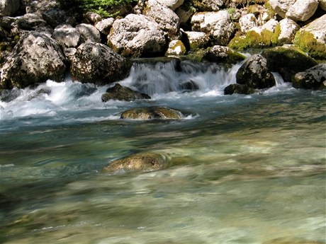 Prameny Voidhomati, kaon Vikos.