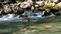 Prameny Voidhomati, kaňon Vikos. | na serveru Lidovky.cz | aktuální zprávy