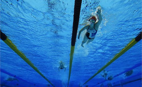 Paralympiáda - plavání