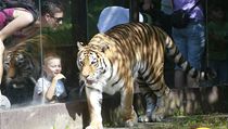 ZOO Dvůr Králové nad Labem. | na serveru Lidovky.cz | aktuální zprávy