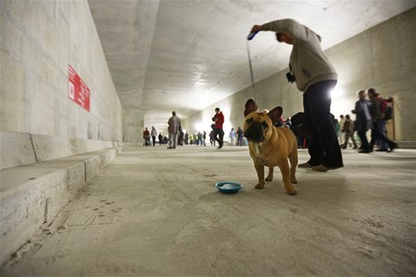 Trasa dlouhá pt kilometr bude otevena od 9. do 15. hodiny.