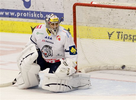 eské Budjovice - Bílí Tygi Liberec. Poprvé nastoupil do liberecké branky Ondej Pavelec