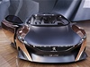 Peugeot Onyx