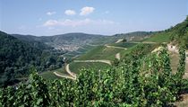 Vinice v údolí řeky Ahr. | na serveru Lidovky.cz | aktuální zprávy
