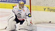 České Budějovice - Bílí Tygři Liberec. Poprvé nastoupil do liberecké branky Ondřej Pavelec | na serveru Lidovky.cz | aktuální zprávy