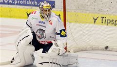České Budějovice - Bílí Tygři Liberec. Poprvé nastoupil do liberecké branky Ondřej Pavelec | na serveru Lidovky.cz | aktuální zprávy