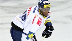 Wayne Simmonds v dresu libereckých Bílých Tygr.