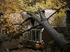V Kanad kácela boue Sandy stromy a sloupy elektrického vedení. Miliony domácností se ocitly bez proudu.
