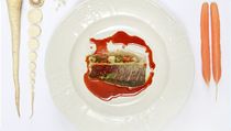 Piano Nobile, Chateau Mcely/ Pstruh s místní sádky s petrželovo-cibulovým pyré | na serveru Lidovky.cz | aktuální zprávy