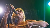 Iggy Pop na festivalu v Trutnově (2001) | na serveru Lidovky.cz | aktuální zprávy