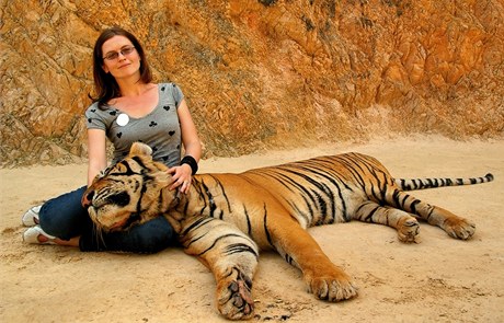 Mazlení s tygrem 