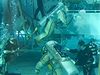 Oba rutí kosmonauti pi nácviku ve skafandrech pod vodou.