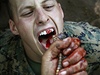 Vojáci zjistili, jak chutná hadí krev.