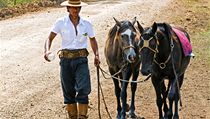 Gaucho je obdobou severoamerického kovboje. Gaucho je obdobou severoamerického kovboje.