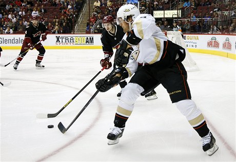 Hokejista Anaheimu Ducks Teemu Selänne