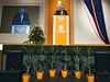 Na sjezdu vystoupil prezident Zeman se svým projevem.