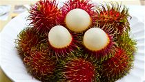 Rambutan | na serveru Lidovky.cz | aktuální zprávy